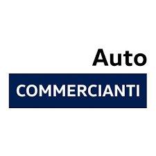 VOLKSWAGEN VIC Touran 2ª serie - Touran 1.6 TDI Co