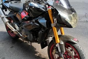 Aprilia tuono fighter A.s.i. a libretto