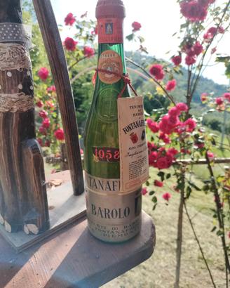 vino barolo Fontanafredda anno 1958