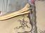 Immagine 5
