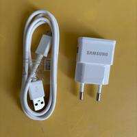 Caricabatterie originale Samsung e cavo USB