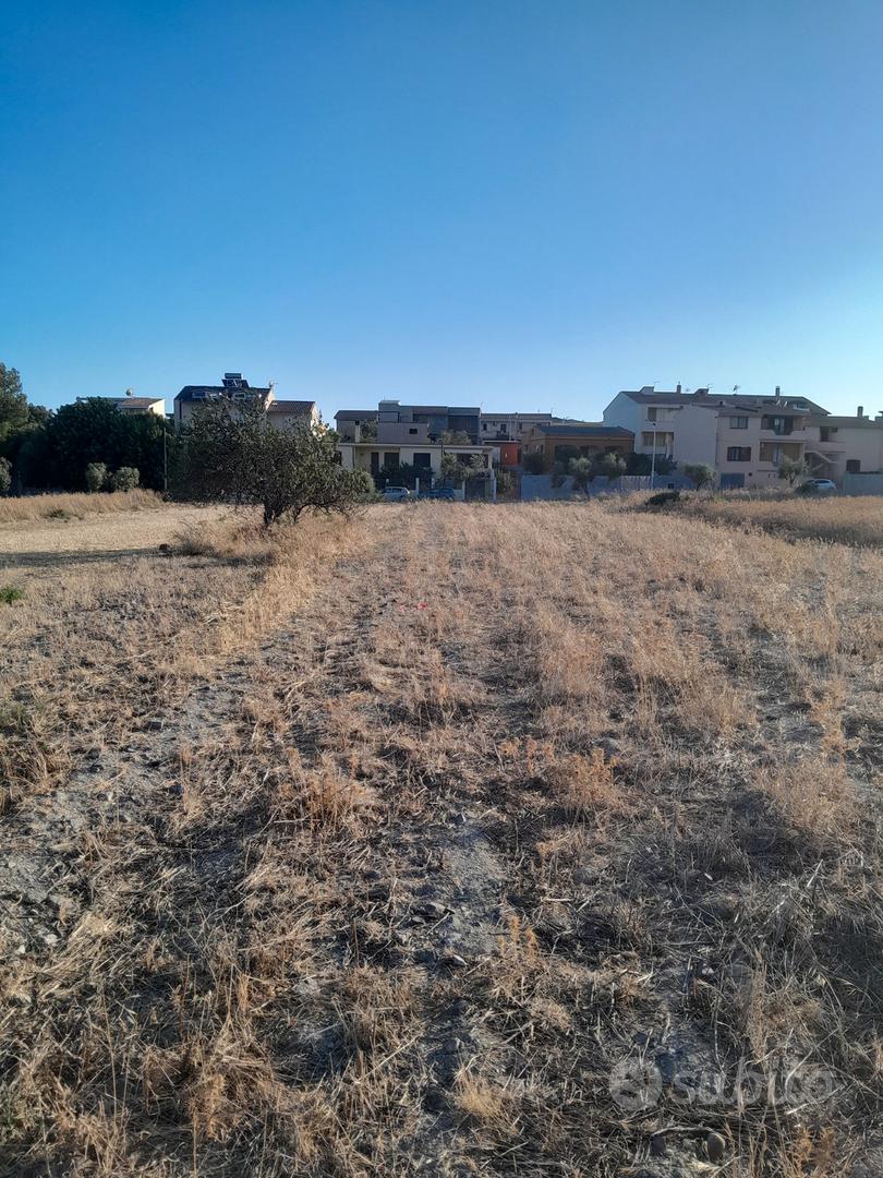 Terreni agricoli - Vista 4