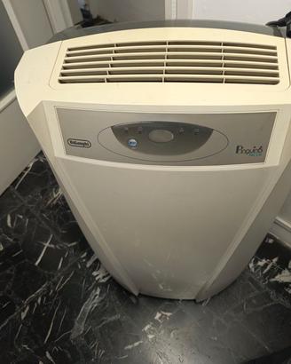 Condizionatore d'aria Pinguino