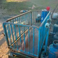 pesa per bestiame 20 quintali