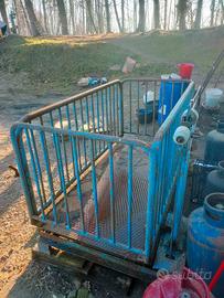 pesa per bestiame 20 quintali