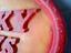 Immagine 4
