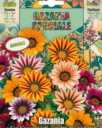 sementi di gazenia 