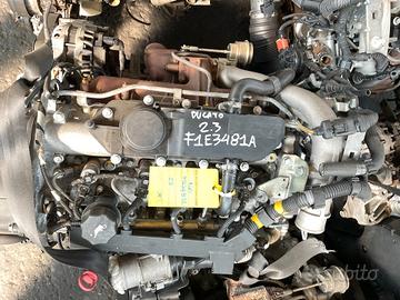MOTORE F1E3481A 2.3 TD FIAT DUCATO