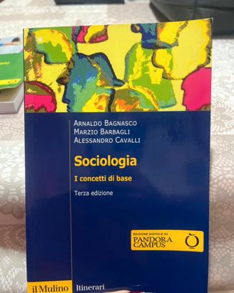 Sociologia, i concetti di base
