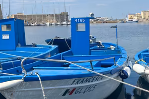 Barca da pesca con licenza
