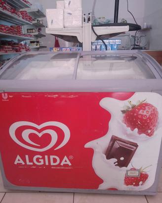 Frigo surgelati