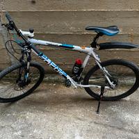 Bicicletta mountain bike  (focus)