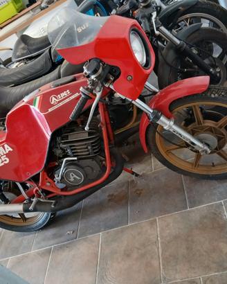 Aspes Yuma 125cc