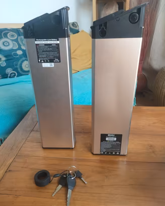 bici elettrica engwe engine PRO