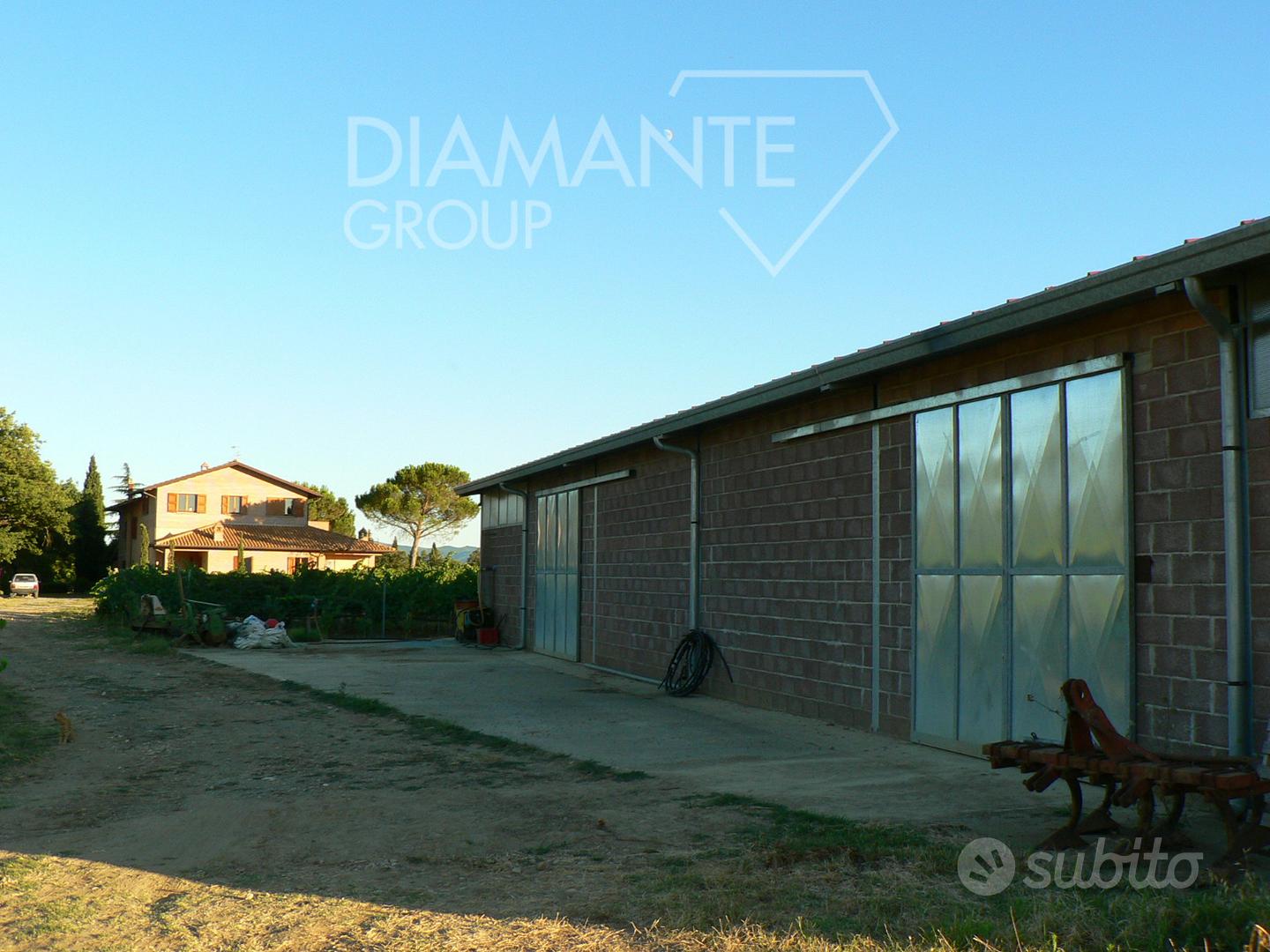 Terreno agricolo con vigneto e magazzino - Vista 5