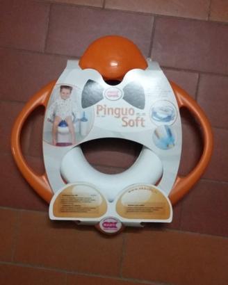 riduttore Pinguo Soft