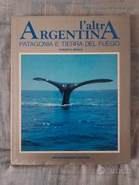 Roberto Merlo " l' altra argentina"