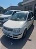 fiat-panda-1-2-dynamic