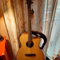 James Neligan chitarra acustica elettrificata