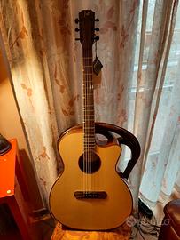 James Neligan chitarra acustica elettrificata