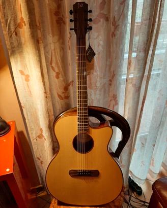 James Neligan chitarra acustica elettrificata