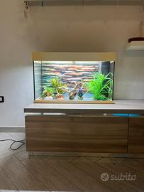 Acquario Juwel completo di luci arredi e accessori