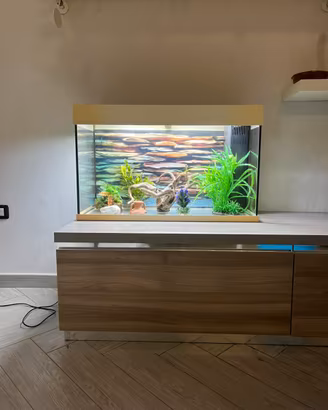 Acquario Juwel completo di luci arredi e accessori