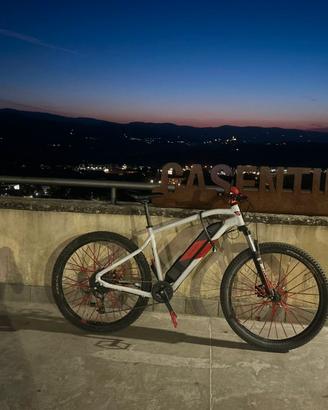 Bike Rockrider Hardtail Custom – Solo 650 km – Com