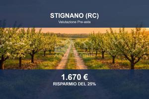 Immobile in asta di 5580 m² a Stignano