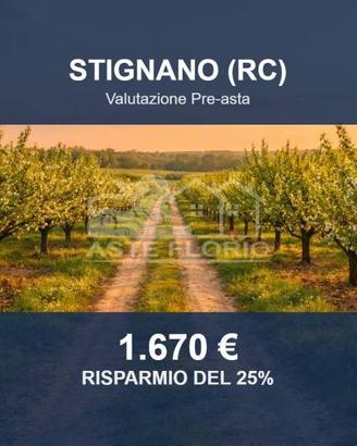 Immobile in asta di 5580 m² a Stignano