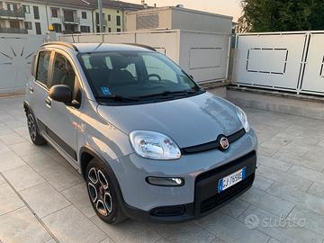 FIAT Panda 3ª serie - 2022