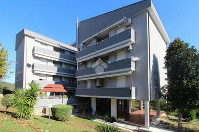 5 LOCALI A ROSETO DEGLI ABRUZZI