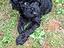 Immagine 4