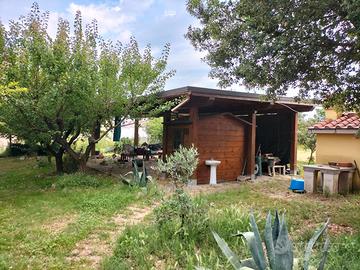 Terreno con abitazione e uliveta