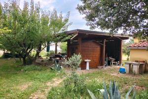 Terreno con abitazione e uliveta