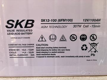 Batteria 12v AGM TECNOLOGI 100Ah marca SKB