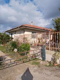 Vendersiccola azienda agricola di ettari 3 con abi