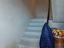 Immagine 13