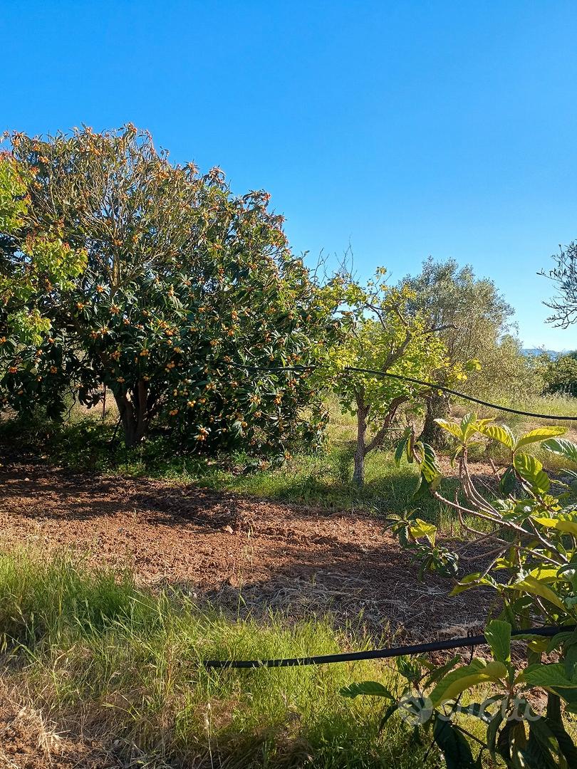 terreno agricolo - Vista 4