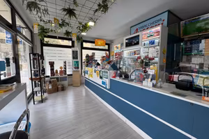 ATTIVITÀ A SANT'AMBROGIO DI VALPOLICELLA