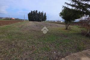 TERRENO A SPOLTORE