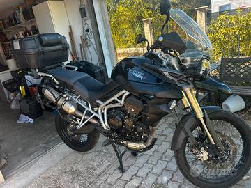 Triumph Tiger 800