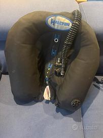 Sacco Halcyon explorer 40 lb.