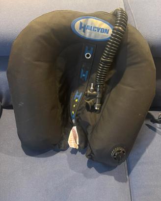 Sacco Halcyon explorer 40 lb.