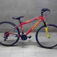 Bicicletta bambino 10 anni in su