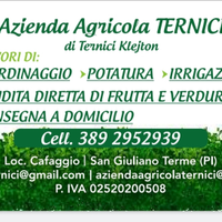 Giardino per la tua casa