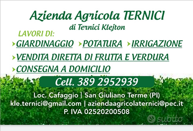 Giardino per la tua casa