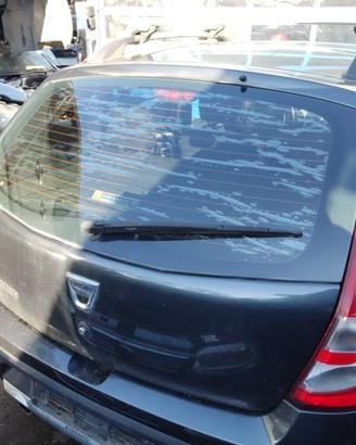 Portellone nudo DACIA SANDERO del 2012