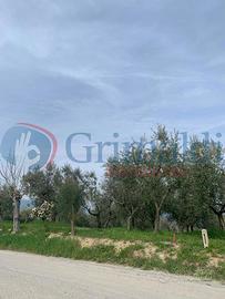 Terreno Residenziale Montefalco [GRIM2826VRG]
