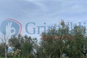 Terreno Residenziale Montefalco [GRIM2826VRG]